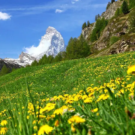 Apartmán Grillon-4 By Interhome Zermatt